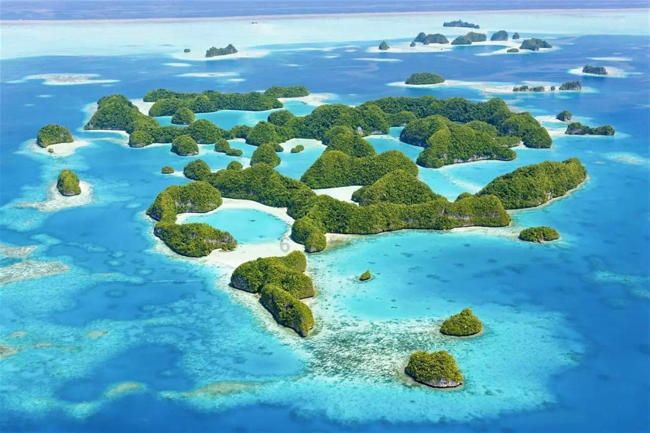 深度学习知识星球-重阳节的来历,重阳节习俗有哪些,权威讲解AI技术与应用